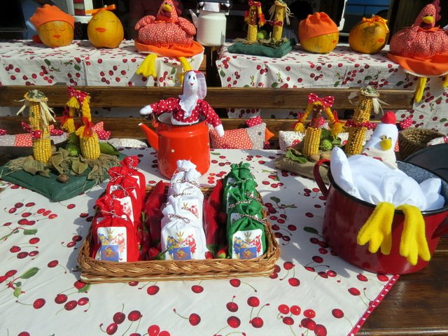 Megyei Közfoglalkoztatási Kiállítás 043